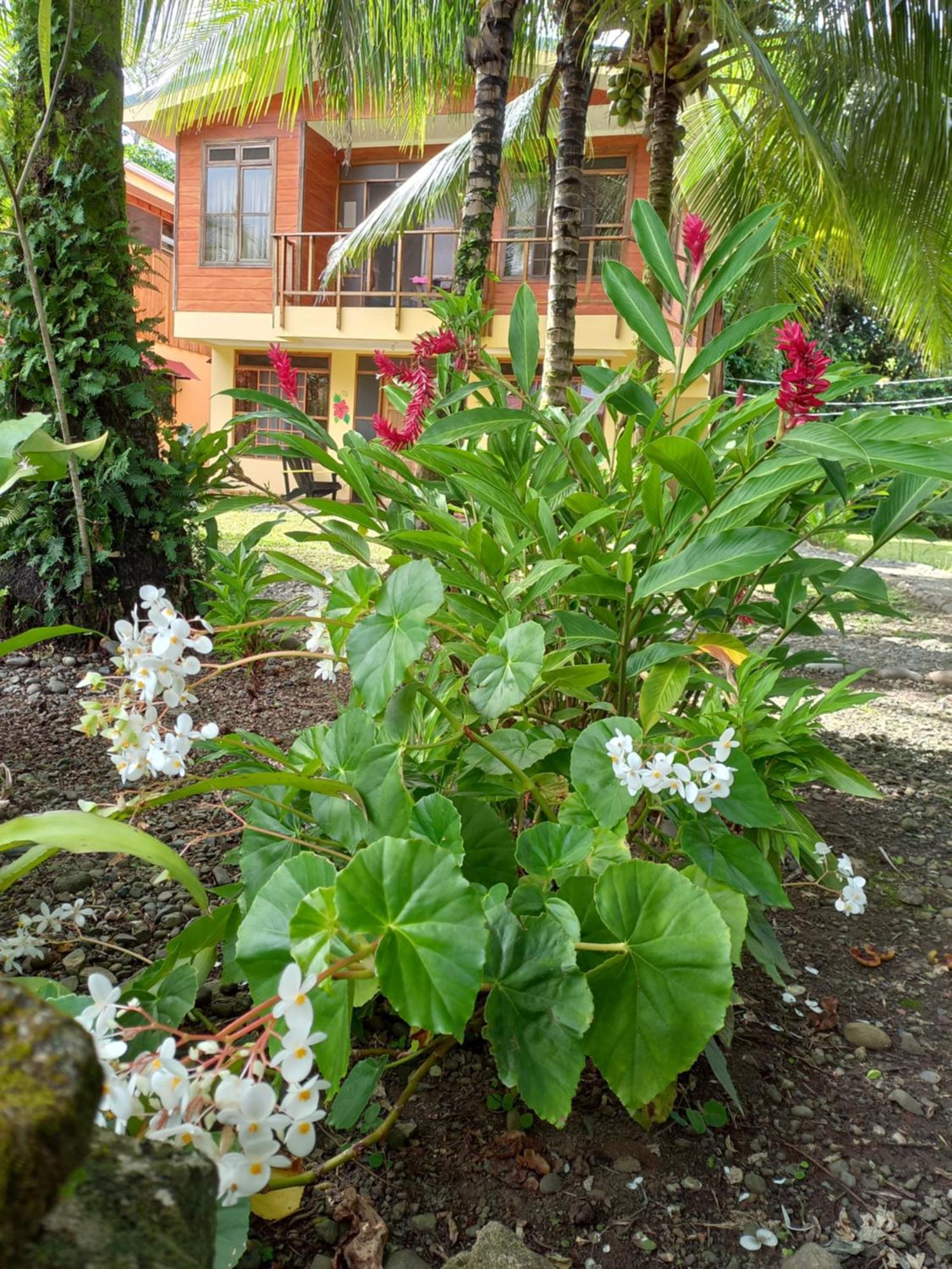 Aparthotel Babilonia Cahuita Exterior foto