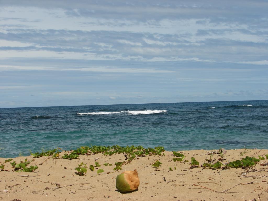 Aparthotel Babilonia Cahuita Exterior foto
